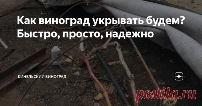 Как виноград укрывать будем? Быстро, просто, надежно На днях просматривала Инстаграм и увидела фото коллеги из нашего региона. Он выложил снимок соснового лапника и с радостью сообщил, что начал готовиться к укрытию винограда на зиму. Честное слово, если бы я сначала узнала, сколько ухищрений используют виноградари-любители, чтобы укрыть виноград, я бы никогда не решилась посадить его на дачном участке. Зачем эти адовы муки!? Приведу примеры. Кто-то мчится в лес за сосновы...