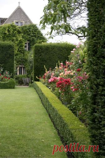 Современные кустарники для сада - фото примеров