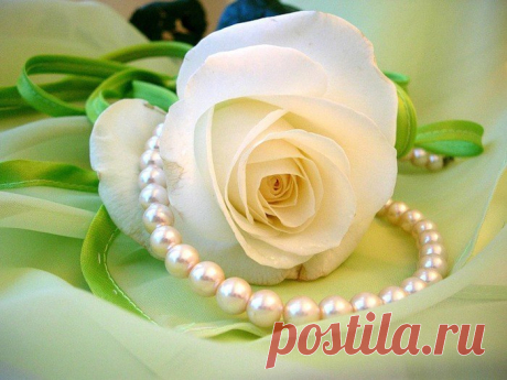 Тост от мудрой женщины | Не жди чуда - чуди сам!