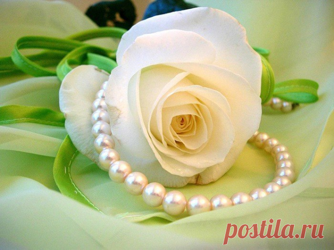 Тост от мудрой женщины | Не жди чуда - чуди сам!