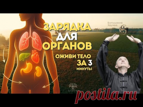 ЗАРЯДКА ДЛЯ ОРГАНОВ — оживи тело за 3 минуты