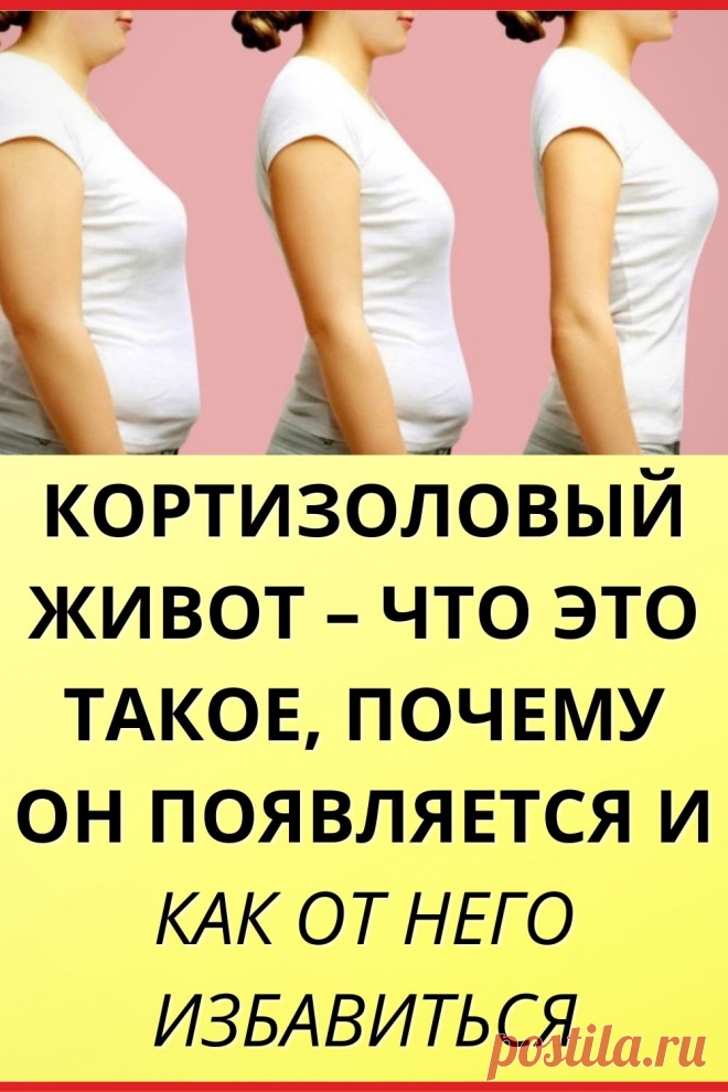 Кортизоловый живот – что это такое, почему он появляется и как от него избавиться