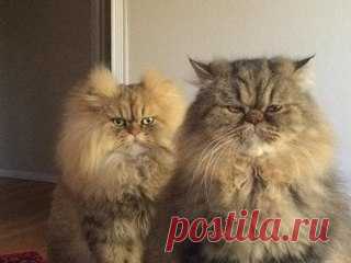 Фотографии Валентины Вороновской | 5 альбомов