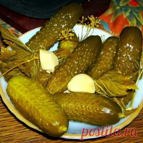 Закуска по-русски (15 фото)