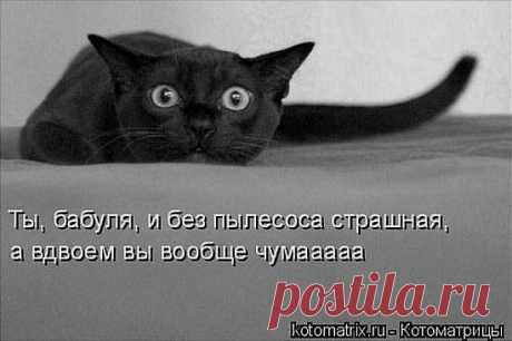 Куда бежать и прятаться?...