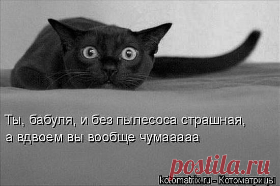 Куда бежать и прятаться?...