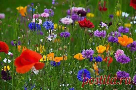 ВОТ ЭТО КРАСОТА ПРИРОДЫ!