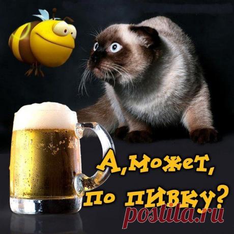 а мы веселимся ....