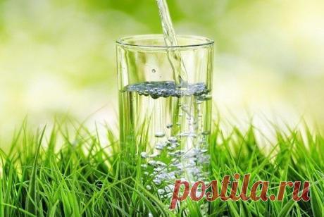 Польза от утреннего стакана горячей воды