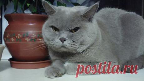 Интересные новости