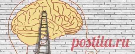 «Мозговые машины» | Журнал Популярная Механика