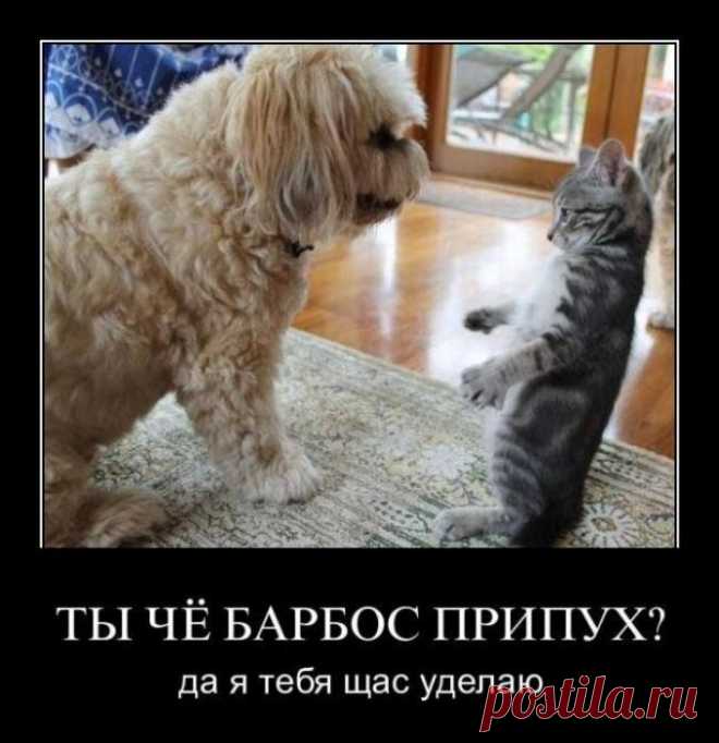 Уделаю!