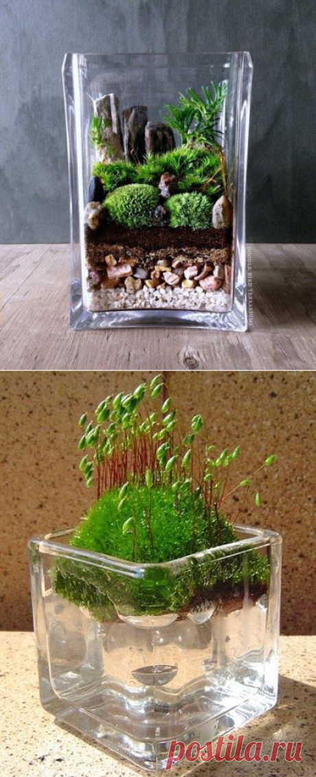 (44) Светлана Савельева