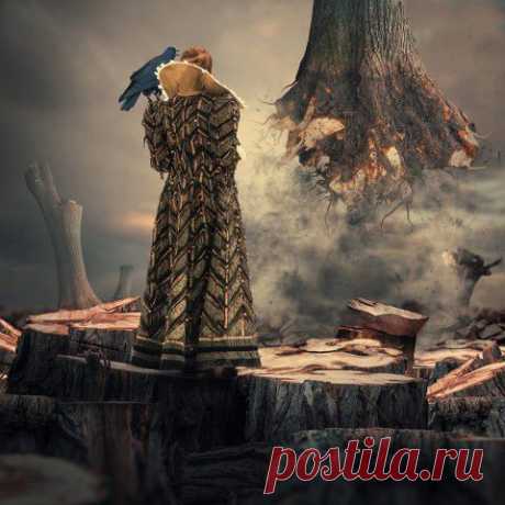 Баллада о Птицелове | 5минутка