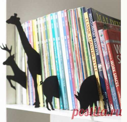 Ideas for Organizing Kids Books