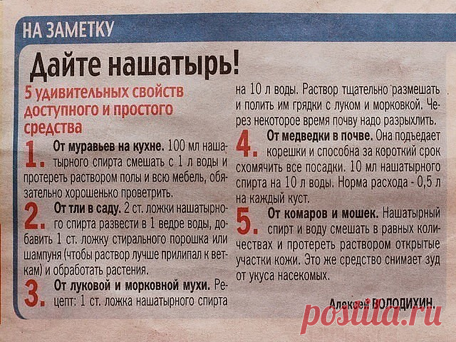 В копилку огородника! Полезные советы ниже  ↓↓↓