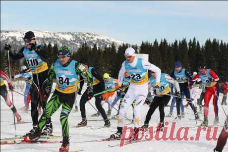 Стартовые номера SKI-LEADER5.RU