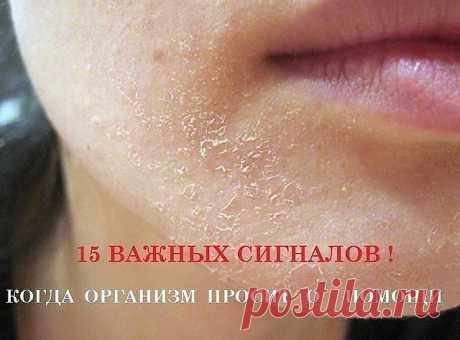 8 безошибочных признаков того, что твои почки не в порядке.

Эти жизненно важные органы расположены по бокам от позвоночника в поясничной области. От исправной работы почек зависит многое: состояние кожи, самочувствие, минеральный баланс в организме, количество гемоглобина в крови.

Прислушайся к себе: иногда легкое недомогание может указывать на начало болезни. Очень важно вовремя обнаружить и устранить любые проблемы с почками!

Признаки болезни почек

Припухлость и отек...