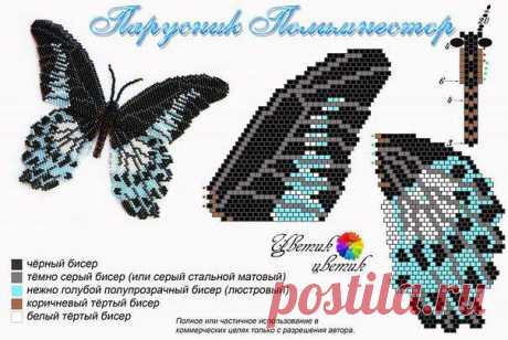 (4) Facebook