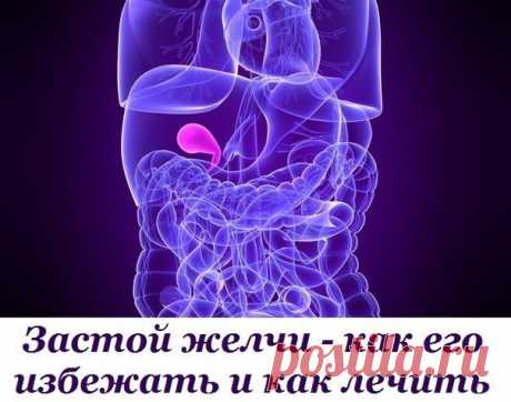 Застой желчи - как его избежать и как лечить...