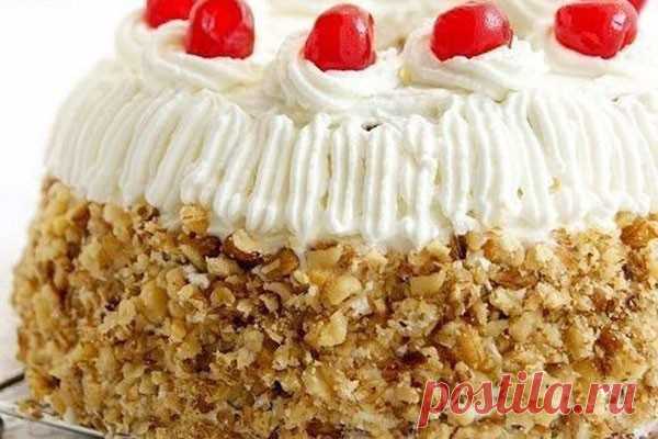 Торт «Маша» — Женская страничка