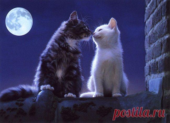 Библиотека - Фитнес для мозга | Facebook