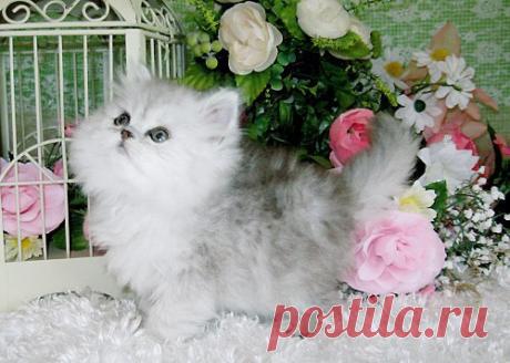 Мои закладки