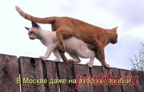 Татьяна