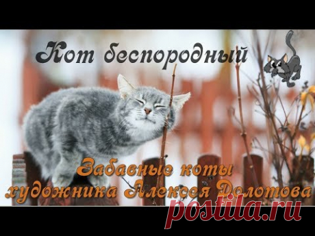 С международным днем котов и кошек!