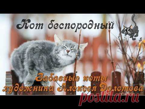 С международным днем котов и кошек!