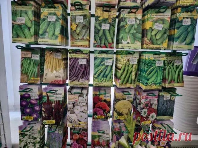 Сахар вместо стимуляторов: необычный способ ускорить прорастание семян. Что прячется в сахарнице, кроме привычной сладости? Оказывается, кристаллы сахара способны стать надежным помощником для получения крепкой рассады.  