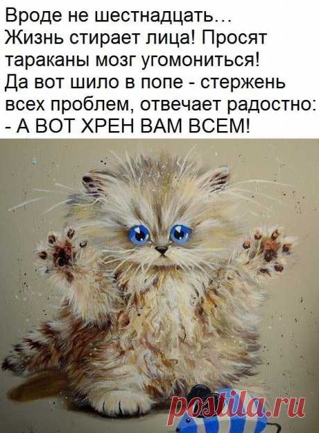 Запомни раз и навсегда: радоваться нужно не когда можно, а когда хочется! Радость как шампанское! Она терпеть не может, когда её затыкают пробкой!.. (Дмитрий Емец)