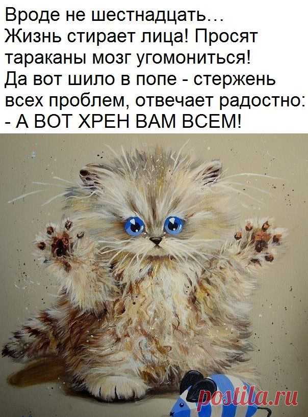 Запомни раз и навсегда: радоваться нужно не когда можно, а когда хочется! Радость как шампанское! Она терпеть не может, когда её затыкают пробкой!.. (Дмитрий Емец)
