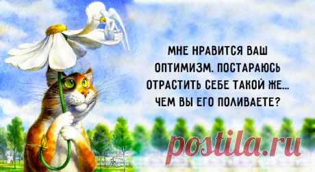 «Время от времени следует говорить глупости, это способствует созданию теплой дружеской атмосферы».