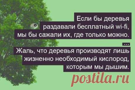 (12) Світлини з допису Виктора Семененка у Каховська зоря - Виктор Семененко