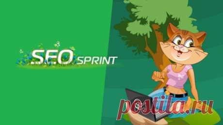 Обзор сайта для заработка Сеоспринт (Seosprint.net): отзывы