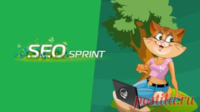 Обзор сайта для заработка Сеоспринт (Seosprint.net): отзывы