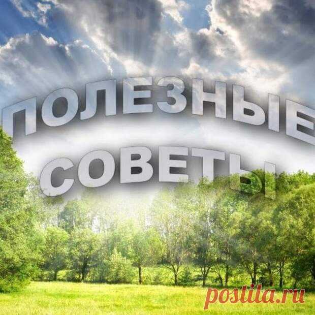СОВЕТЫ, КОТОРЫЕ НАДО ЗАПОМНИТЬ! - Познавательный сайт ,,1000 мелочей