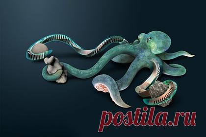 Щупальца осьминога превратили в аккуратного робота. Китайские ученые создали манипулятор, конструкция которого напоминает конечности животного. На основе щупалец осьминога, хобота слона и прочих конечностей животных была спроектирована роборука. Изобретение описывается как многосегментный мягкий манипулятор на пневмосетках.