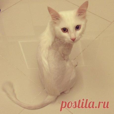 Уведомления