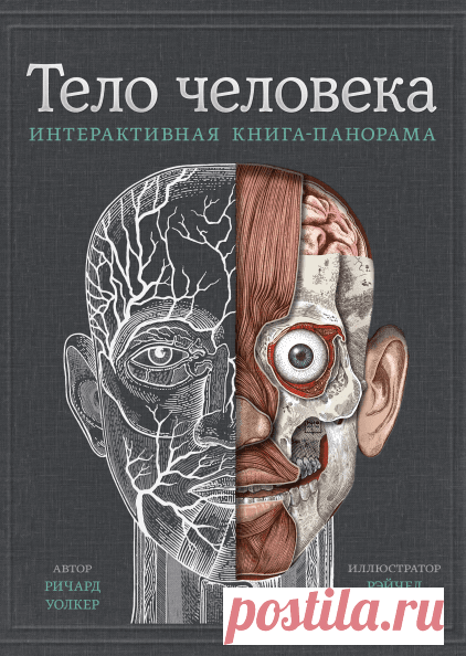 Тело человека (Ричард Уолкер) — купить в МИФе