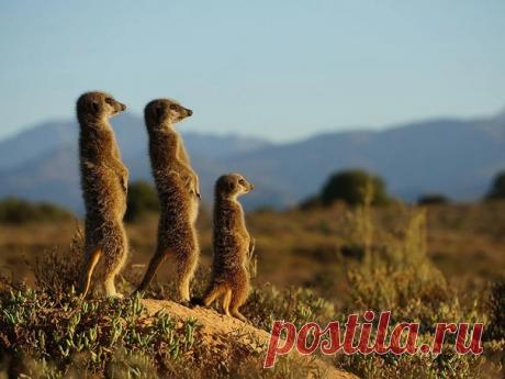 В лучах уходящего солнца