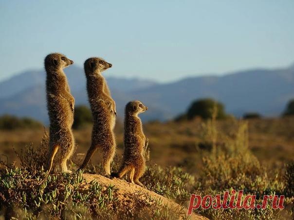 В лучах уходящего солнца