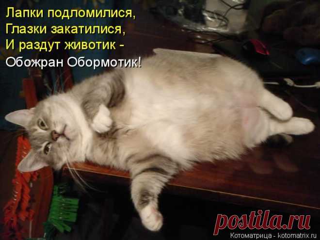 Котоматрица: Круть