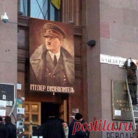 Никогда не думала что увижу такое. Трудно поверить! СМИ. Актуальные Новости - здесь