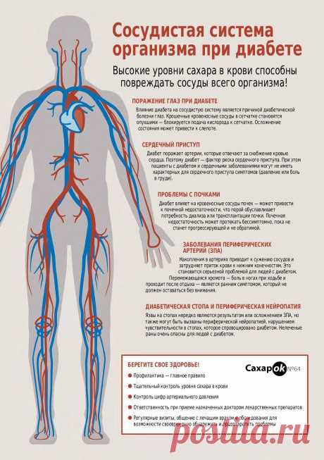 Сосудистая система человека при диабете