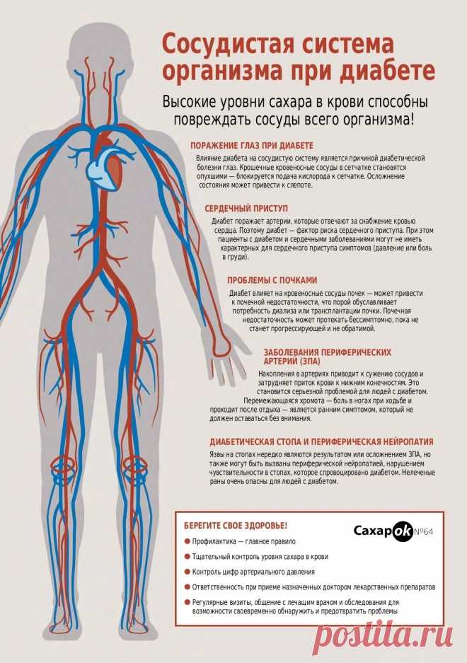 Сосудистая система человека при диабете