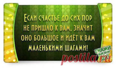 (3) Одноклассники