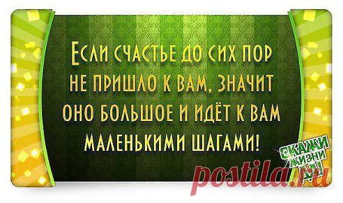 (3) Одноклассники