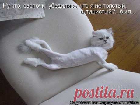 Мой Мир@Mail.Ru